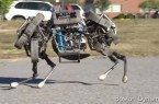 Boston-Dynamics-WildCat_610x350